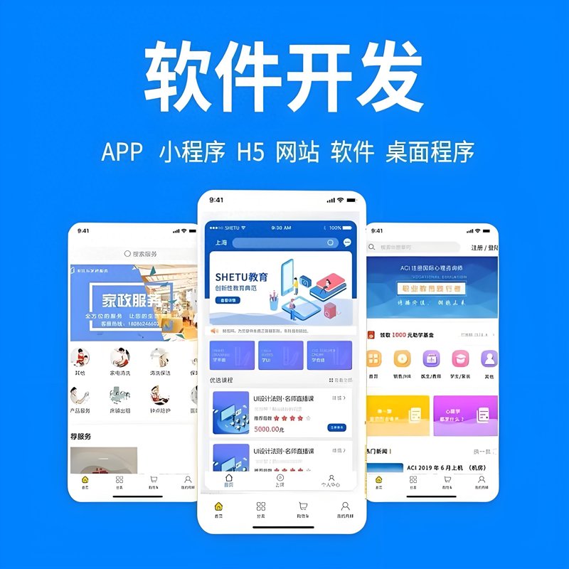 成都软件开发公司的创新与挑战